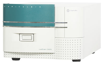 Drug-Related Deafness Gene Mutations Detection