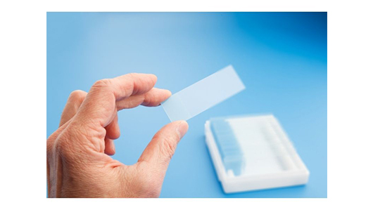 CapitalBiotech® CalSlide-III Calibration Slide