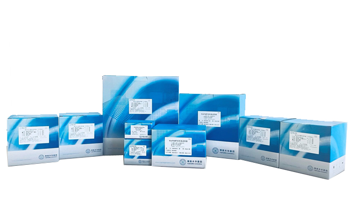 MAPMI Ultra-Broad-Spectrum Pathogen mNGS Test