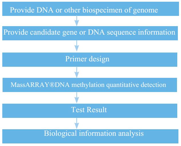 Experiment Process