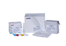 Respiratory System Infection Pathogen Targeted Next-generation Sequencing (tNGS) Kit