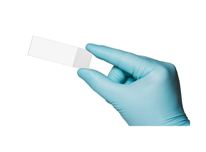 CapitalBiotech® OPAldehydeSlide