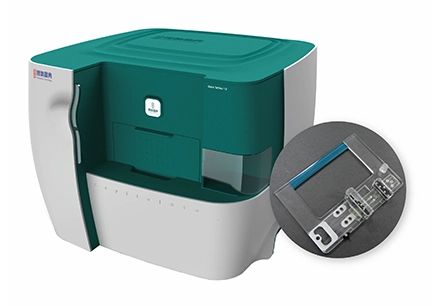 Fully Integrated Automatic On-site Quick DNA Test System Quick TargSeq B