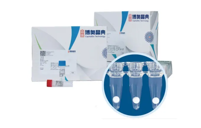 six respiratory viruses nucleic acid test kit pcr melting curve method1